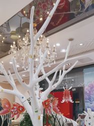 点击看大图 -同远QQBABY亲子摄影(北京路店)
