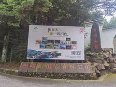 -四明山国家森林公园
