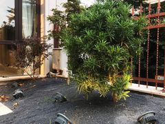 -石狮世茂摩天城摩天轮