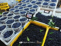 -曼阁市场水果批发市场