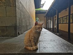 -西园戒幢律寺