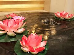 -锦江宾馆-花园餐厅