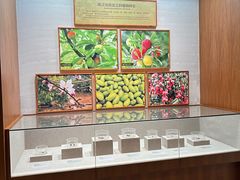-南越王博物院(王宫展区)