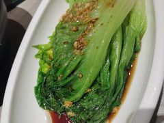 -佬肥猫(七宝宝龙店)