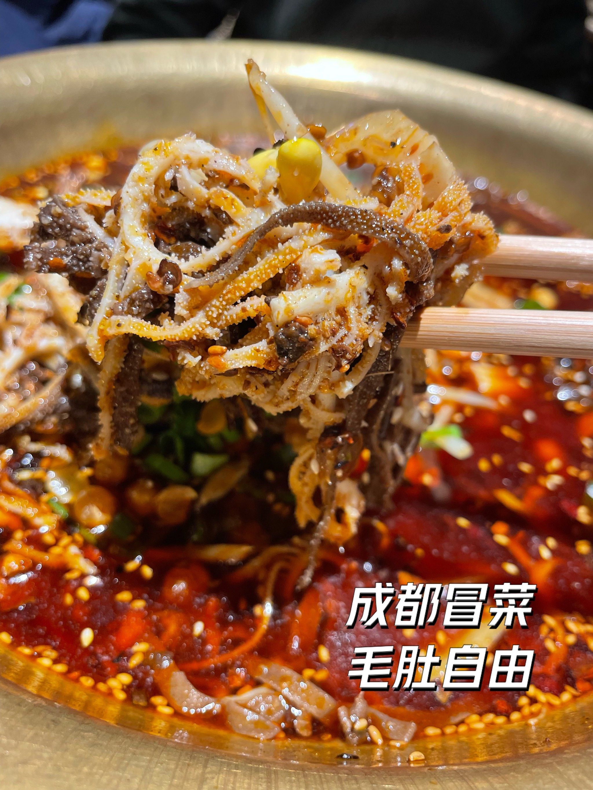 吃成都冒菜,实现毛肚自由
