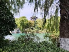 -鹊华居·地道鲁菜·海鲜·融合味(大明湖店)