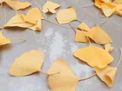 -沙河三洞古桥公园