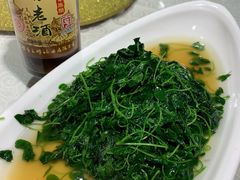 -天福苑(崇宁路店)