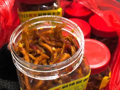 木瓜丝-南门口湘军剁辣椒老店(老长沙第一品牌店)