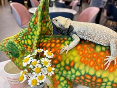 -FAIRYLAND龙族星球主题餐厅(凯丹广场店)