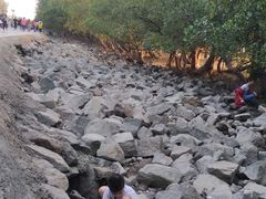 -宝安西湾红树林湿地公园