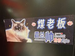 -MOCHA明星猫咖(田子坊店)