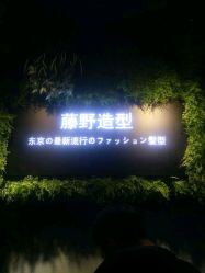 点击看大图 -藤野造型