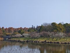 -上海海湾国家森林公园