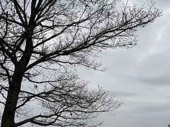 -云漫湖生态度假公园