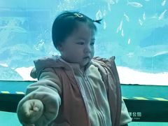 -海合安成都极地海洋公园