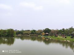 -海珠湖公园