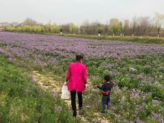 -汉长安城未央宫国家考古遗址公园