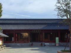 -溱湖国家湿地公园