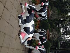 iphone_upload_pic-东芭乐园