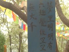 景点-沣峪森林公园龙潭戏水景区