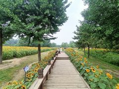 -北京奥林匹克公园
