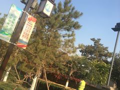 -西海子公园