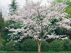 -西郊宾馆·1921餐厅