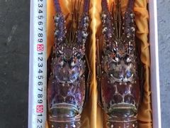 野夫水产专业经营海虾-大东门农贸市场(东顺城街)