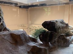 -宁波野生动物园