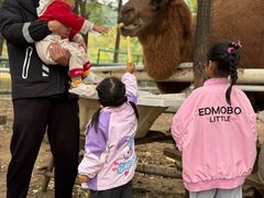 -长白岛森林公园