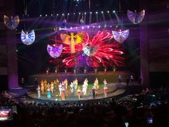 -水秀国际大剧院