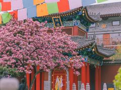 -西安市广仁寺