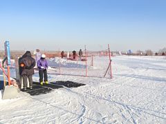 -呼兰河口湿地公园