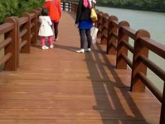 -东寨港红树林旅游区