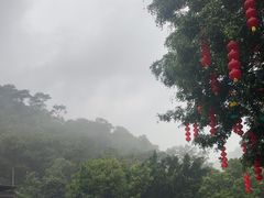 -鼎湖山风景区