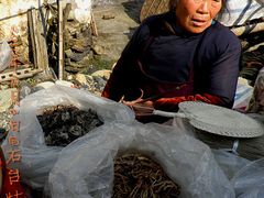 -祁门牯牛降观音堂风景区