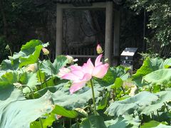 -绍兴东湖风景区