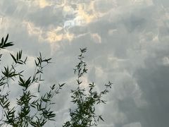 -成都市活水公园