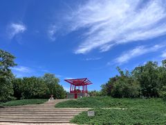 -大望京公园