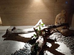 -惠州金海湾嘉华度假酒店