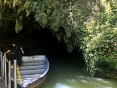 -怀托摩萤火虫洞