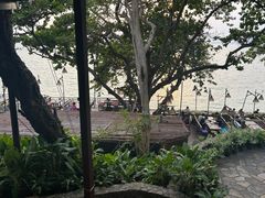 -卷心菜和避孕套餐厅(Pattaya)