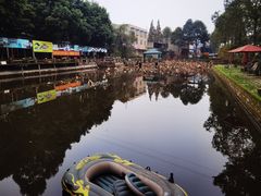 -蜀宴新村·柴火鸡(柏水店)