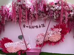 -荷兰花海