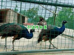 -宁波九龙湖开元度假村
