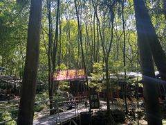 -都江堰普照寺