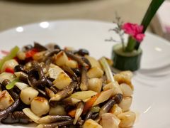 -天福苑(崇宁路店)