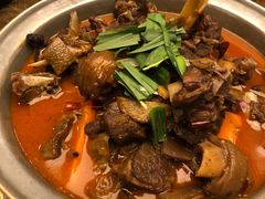 -楚灶王(徐东店)