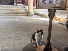 -南普陀寺